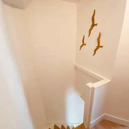 Apartamento Casita Aan Zee 1 Slk 3 Min De Zee Zandvoort